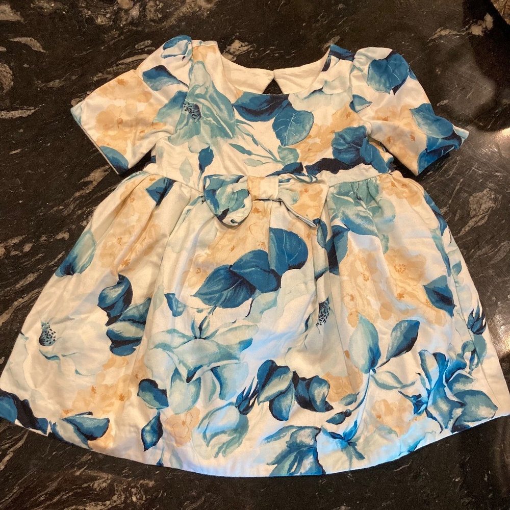 Baby girls Janie and Jack blue floral dress with bow size 12-18 months